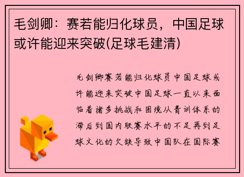 毛剑卿：赛若能归化球员，中国足球或许能迎来突破(足球毛建清)